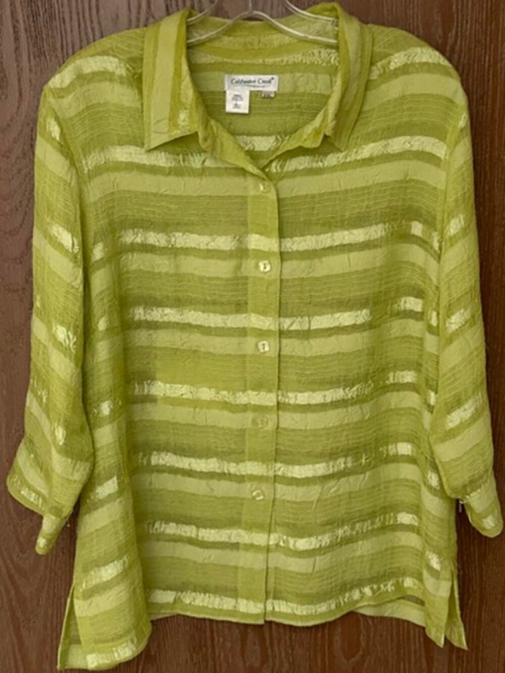 Coldwater Creek Unique Translucent Silk-Like Blouse Shirt - Size PXL